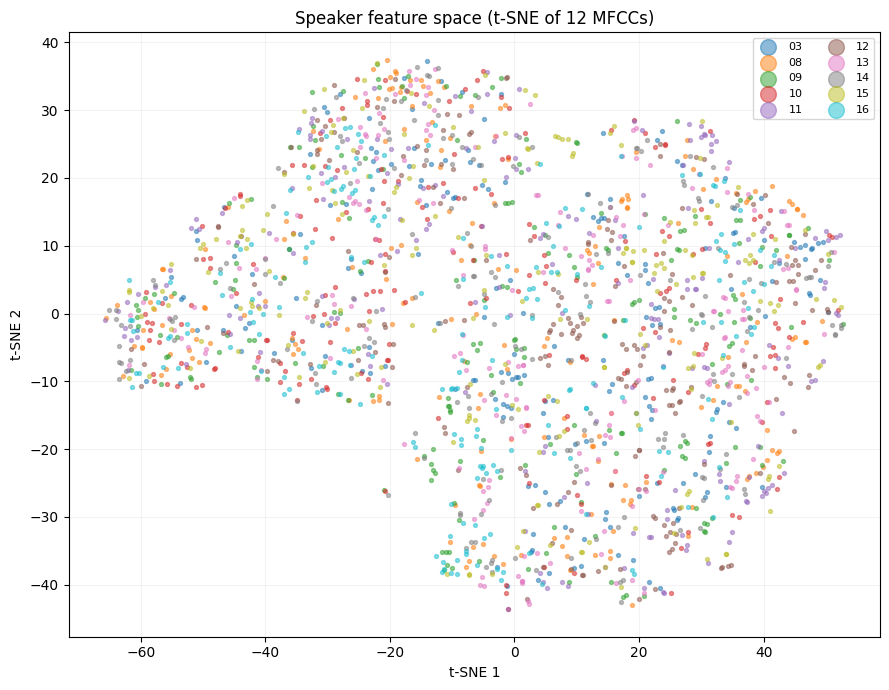 t-SNE feature space